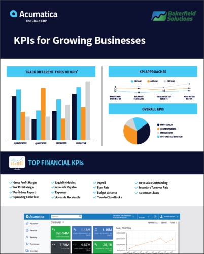 KPIs for Growing Businesses Infographic